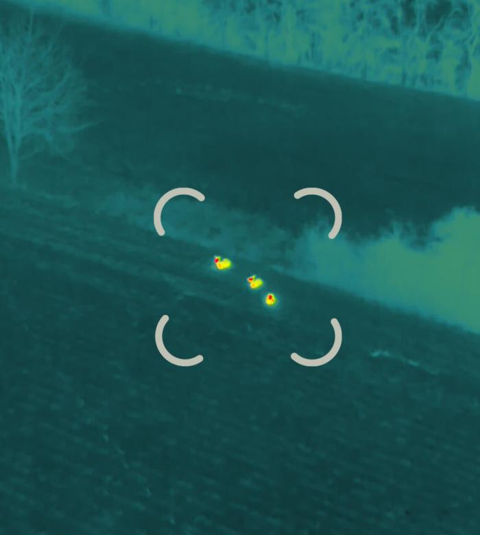 Tiersuche mit digitaler Bildübertragung